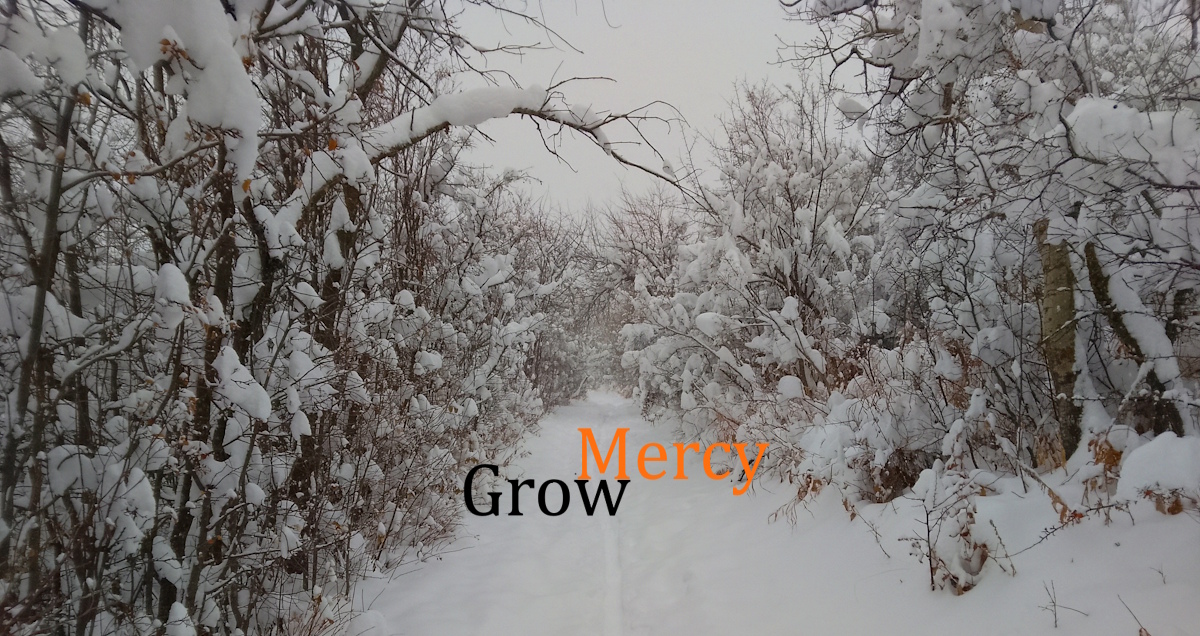 Grow Mercy