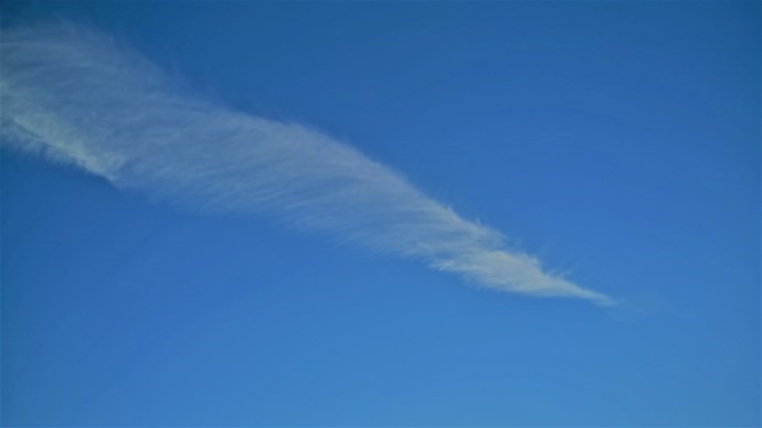 feather cloud (GrowMercy)