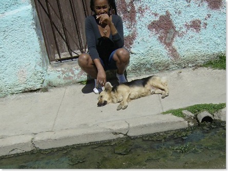 Girl and dog on Cardenas street