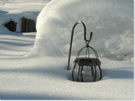 lantern in snow
